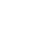 Certified Internal Auditor