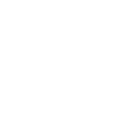 Qualification in Internal Audit Leadership