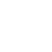 Certified Internal Audit Practitioner