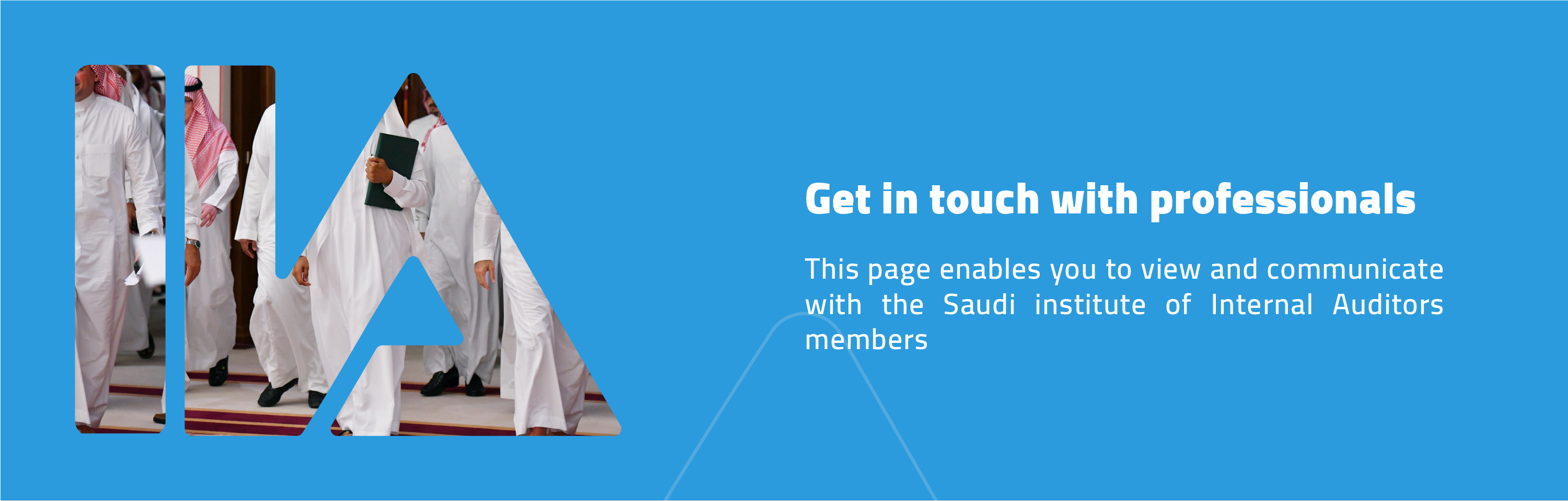 IIA Saudi Arabia Members Directory